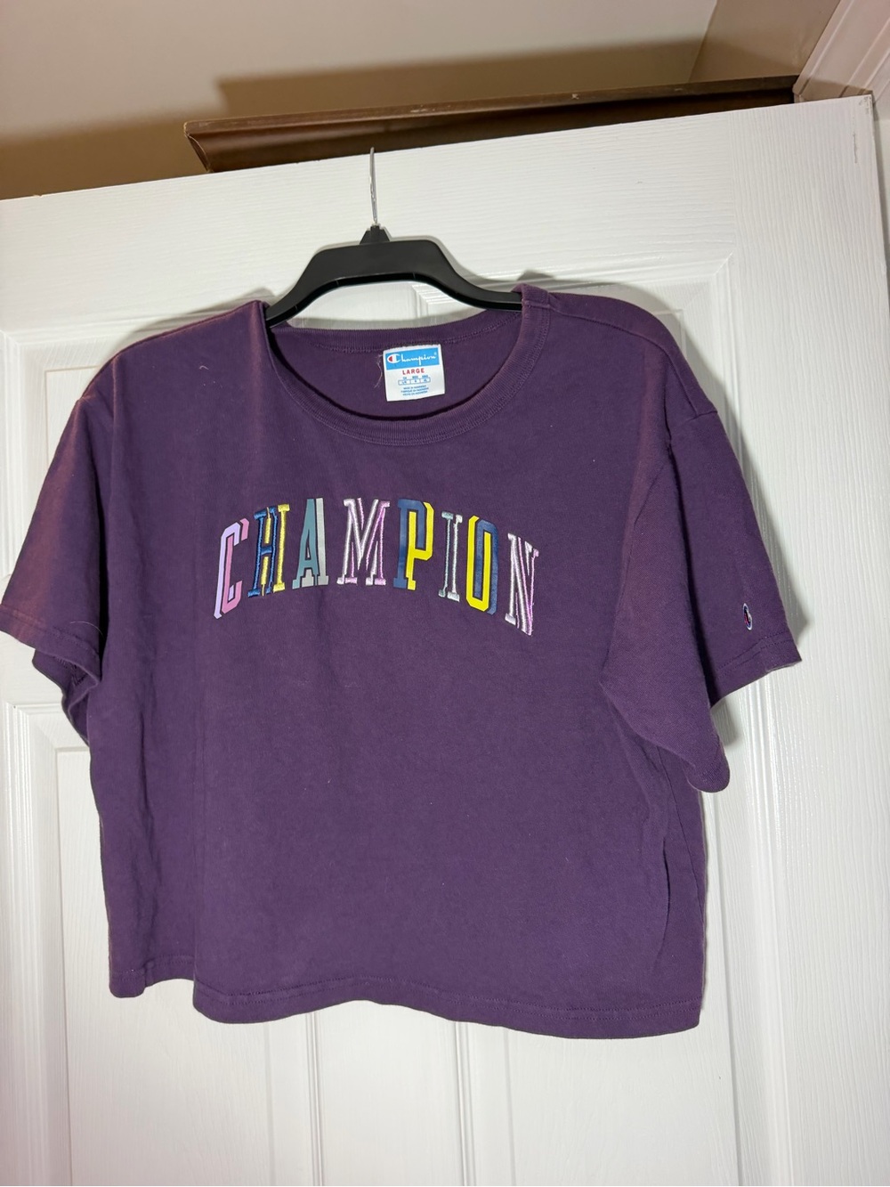 Champion Purple Logo Crewneck Tee with Multicolor Accent